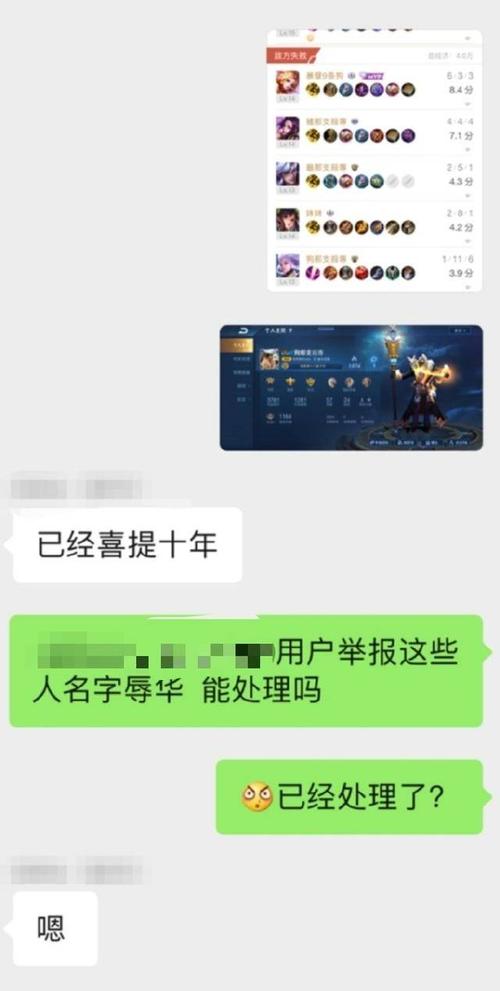 王者荣耀辅助器一键换装与透视外挂的危害及游戏公平性探讨